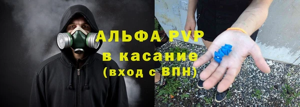 индика Абаза