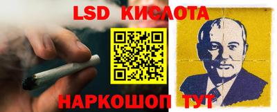 PSILOCYBIN Сосновый Бор