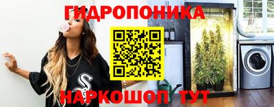 PSILOCYBIN Сосновый Бор
