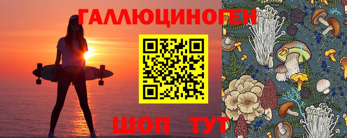 Галлюциногенные грибы Psilocybine cubensis Грязи